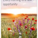 Magneetti aforismi En x 3kpl