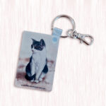 Avaimenperä kissa kissa avaimenperä taide