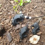 Cat Skull Necklace and Earring-set Black