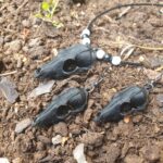 Wolf Skull Necklace and Earring-set Black