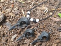 Raven Skull Necklace and Earring- Set Black
