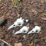 Raven Skull Necklace and Earring- Set White