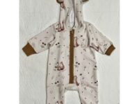 Vauvan collegehaalari