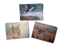 taidekorttisetti villieläimistä