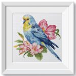 Волнистый попугай