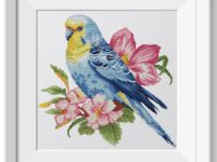 Волнистый попугай