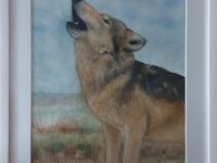 Susitaulu, Lonely heart